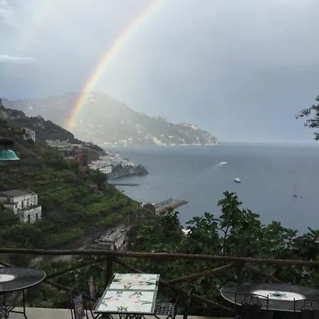 Rina Amalfi